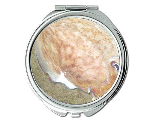 מראה, מראה איפור, נושא דגי ג ' לי של מראת כיס, מראה ניידת 1 על 2 מגדלת
