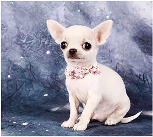 HFDGDFK Valentine Rose Heart Collar עם צווארון כלב מחמד של פרפר לחיית מחמד לכלב בינוני גדול